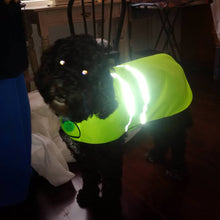 Load image into Gallery viewer, Dog Jackets High Vis